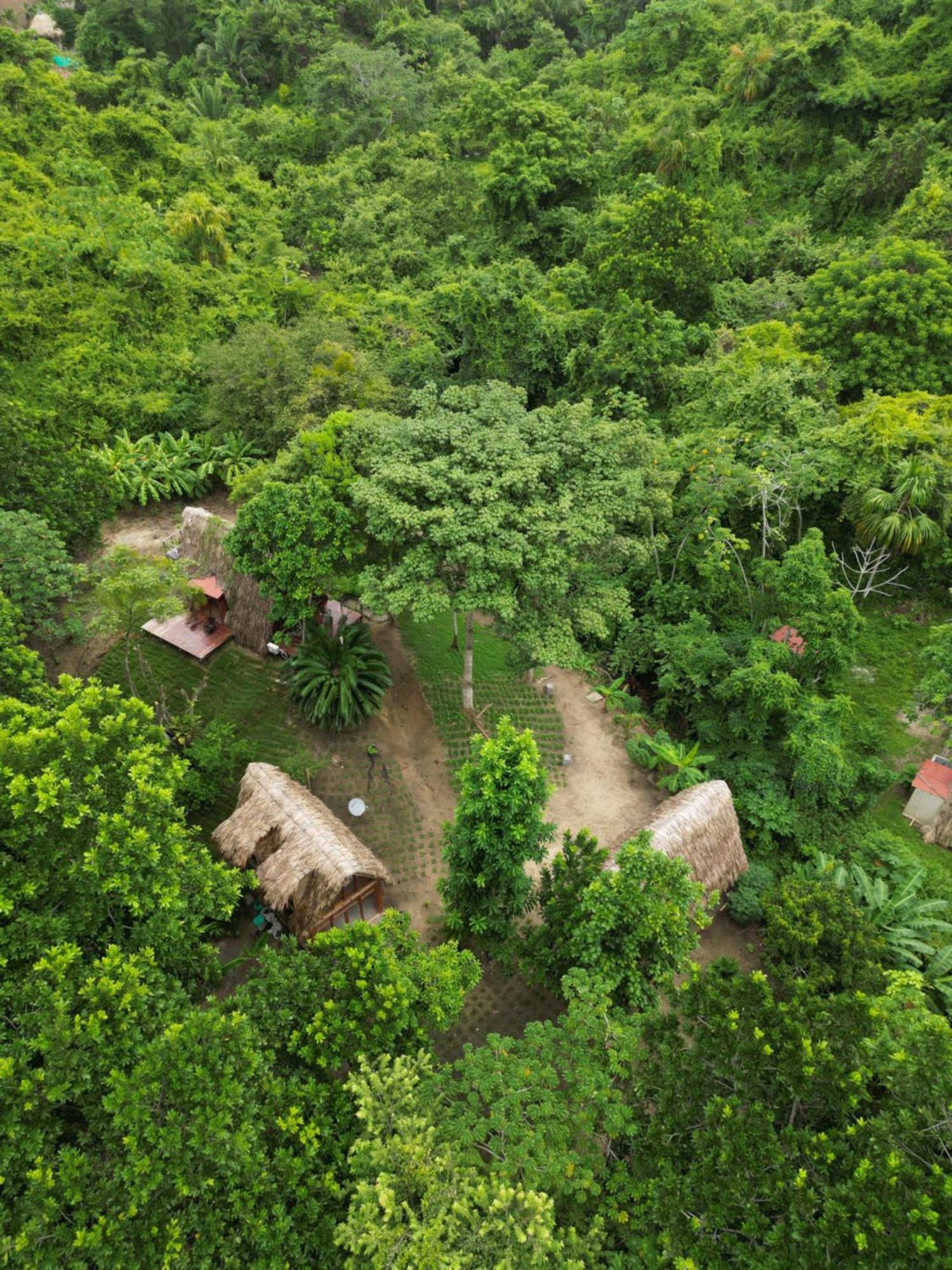 Tiny Houses Unique Tayrona - Dentro Del Parque Tayrona El Zaino Exteriör bild