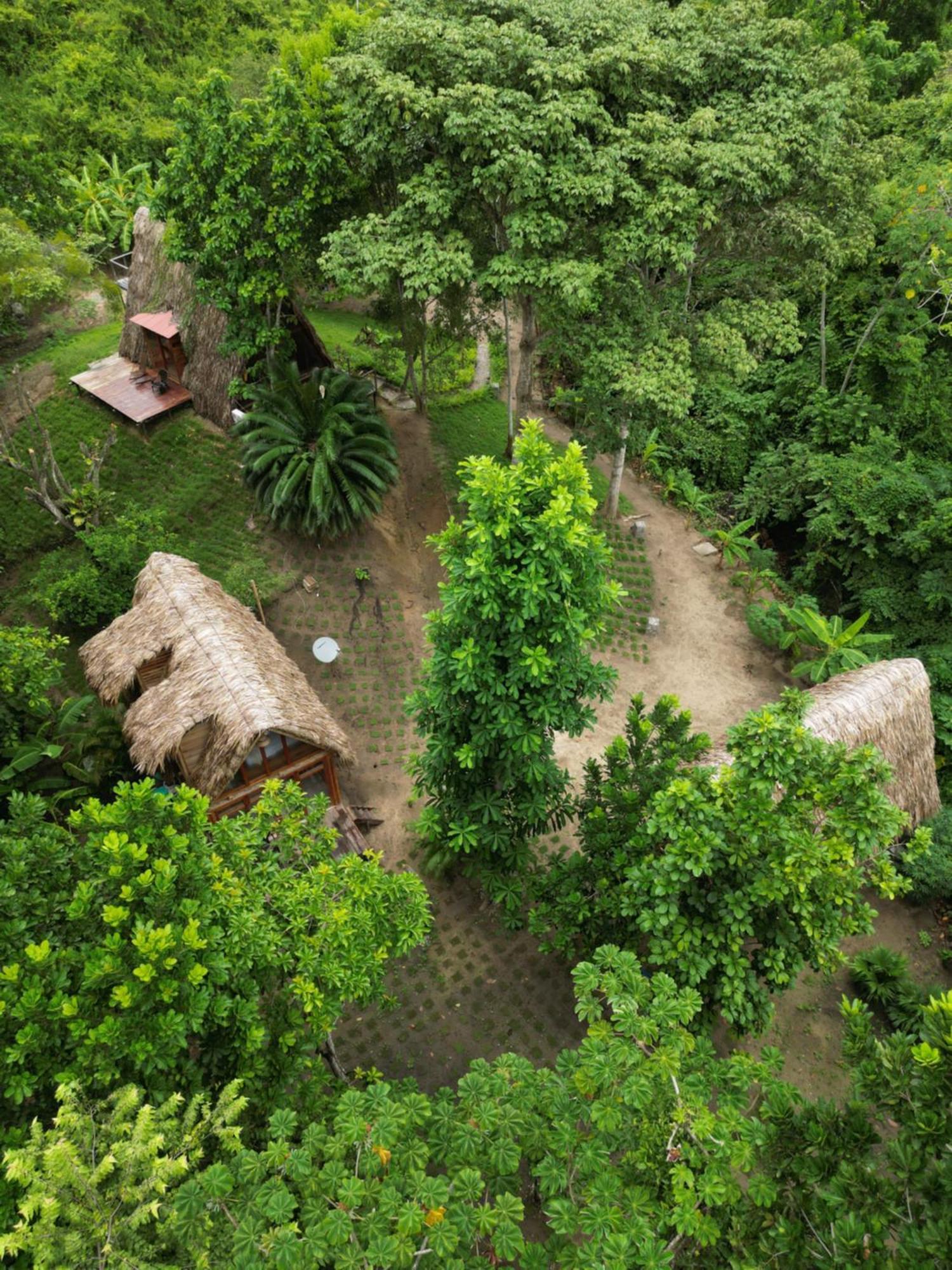 Tiny Houses Unique Tayrona - Dentro Del Parque Tayrona El Zaino Exteriör bild