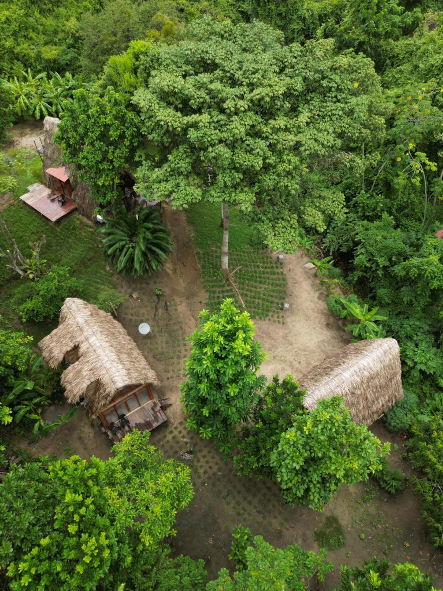 Tiny Houses Unique Tayrona - Dentro Del Parque Tayrona El Zaino Exteriör bild