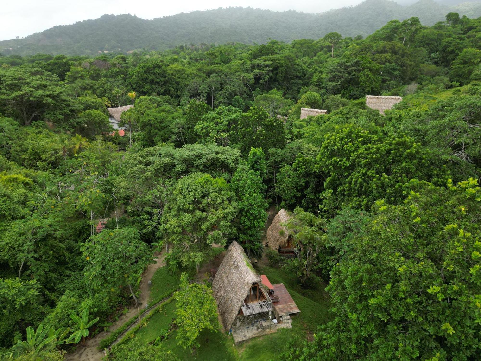 Tiny Houses Unique Tayrona - Dentro Del Parque Tayrona El Zaino Exteriör bild