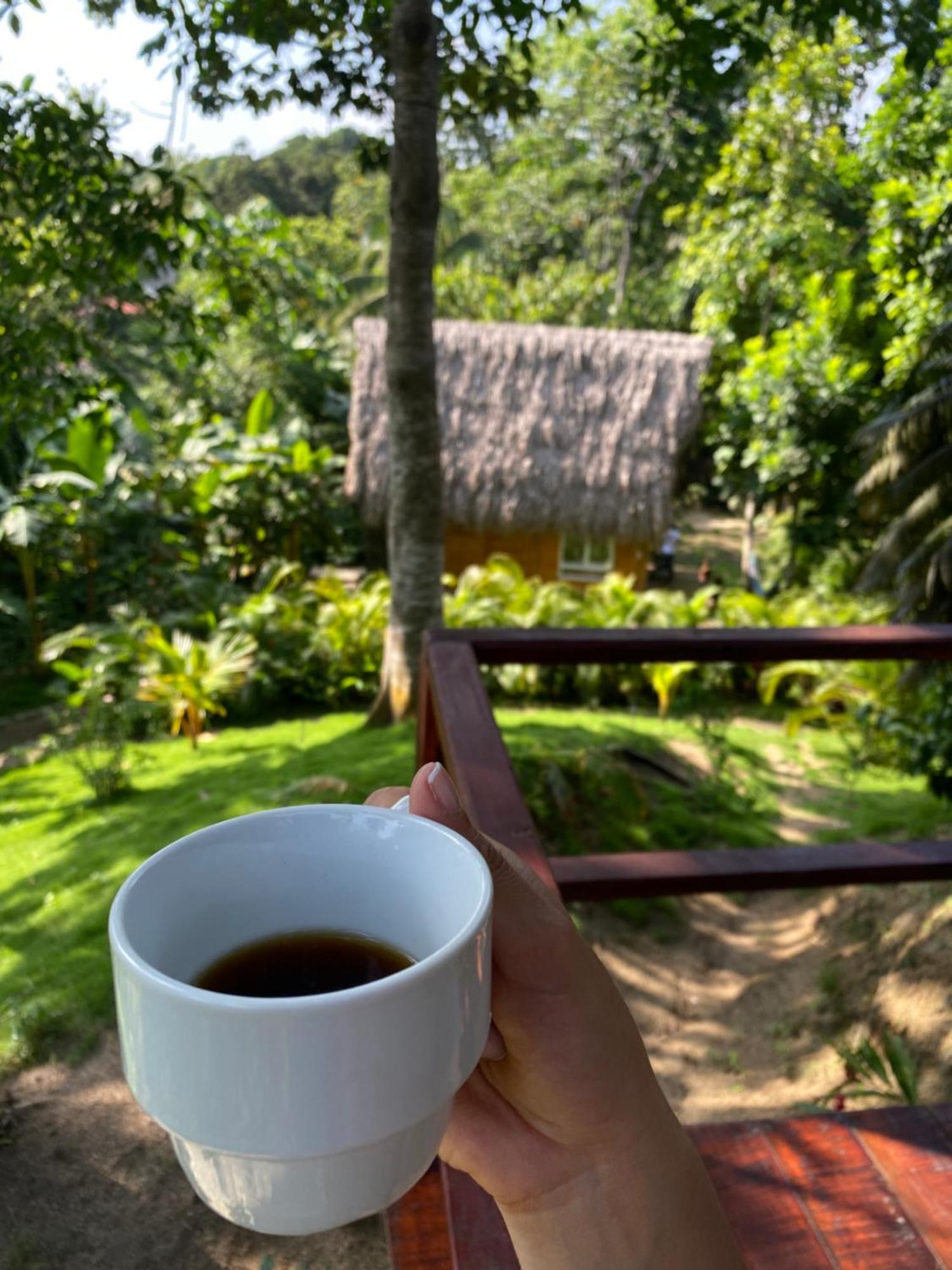 Tiny Houses Unique Tayrona - Dentro Del Parque Tayrona El Zaino Exteriör bild