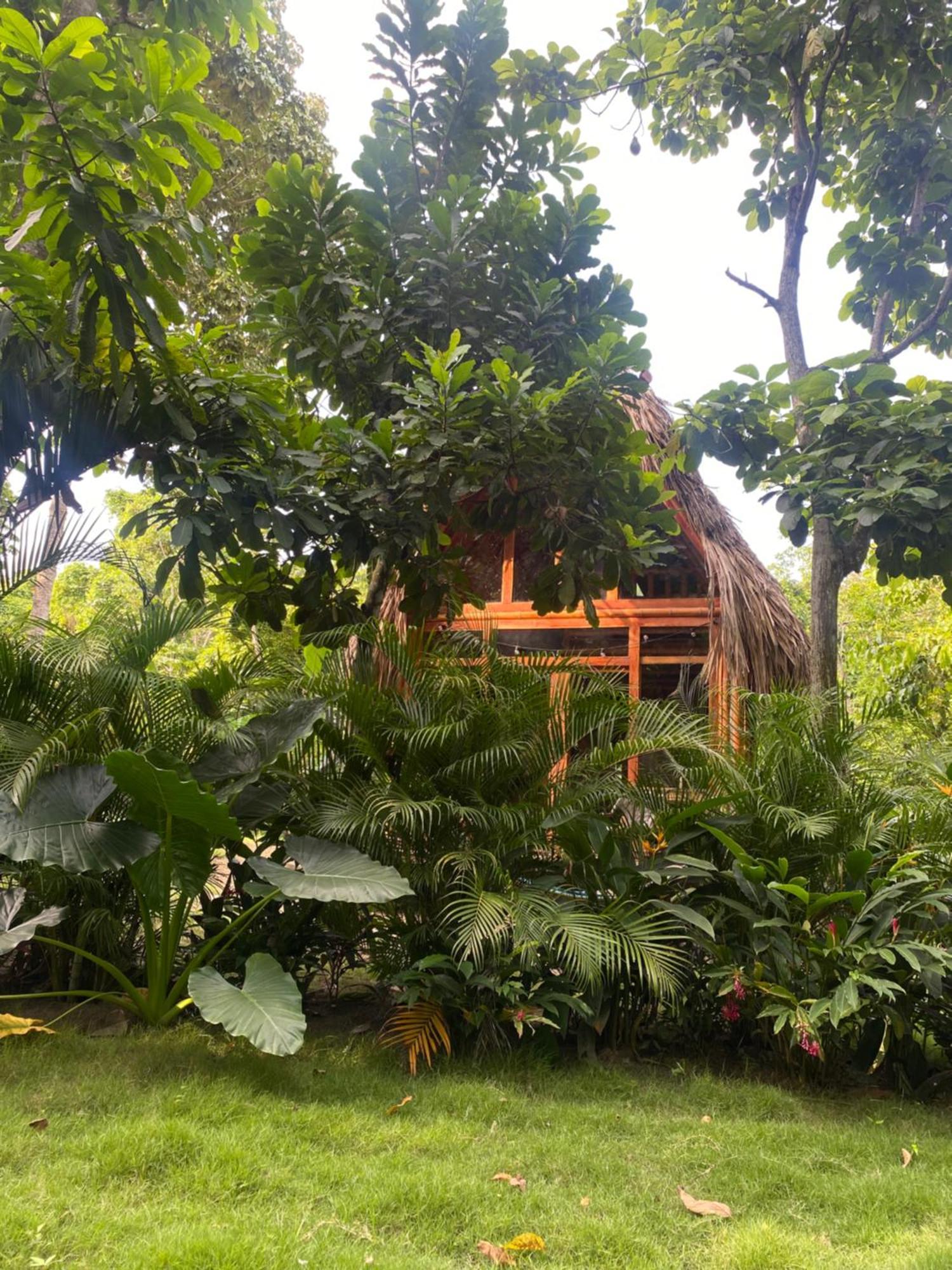 Tiny Houses Unique Tayrona - Dentro Del Parque Tayrona El Zaino Exteriör bild